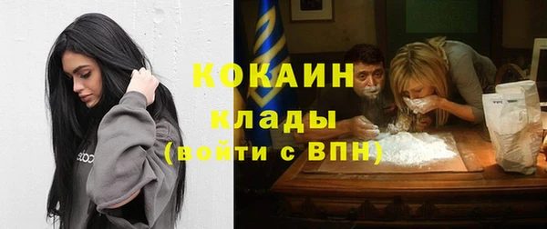 прущие крисы Пересвет