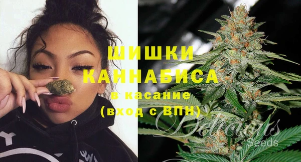 бошки Пестово