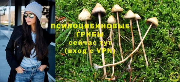 прущие крисы Пересвет