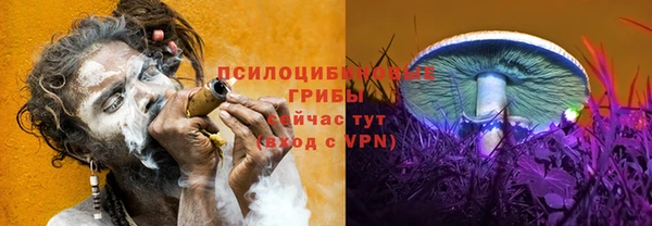 прущие крисы Пересвет