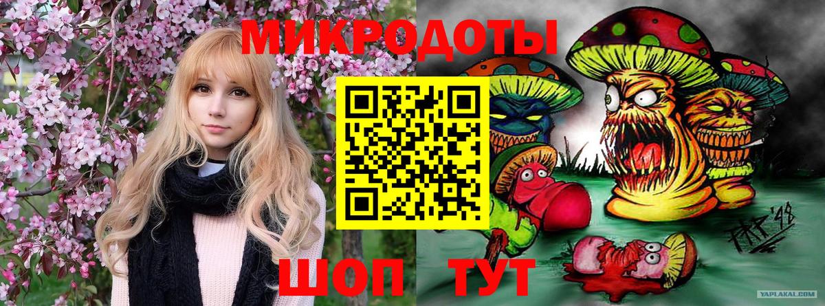 Псилоцибиновые грибы MAGIC MUSHROOMS  магазин продажи   Азов  Галлюциногенные грибы Psilocybe  Вход с VPN 