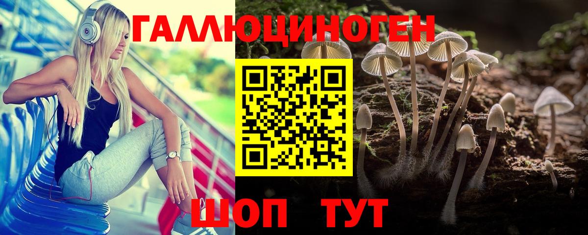 Псилоцибиновые грибы ЛСД Азов
